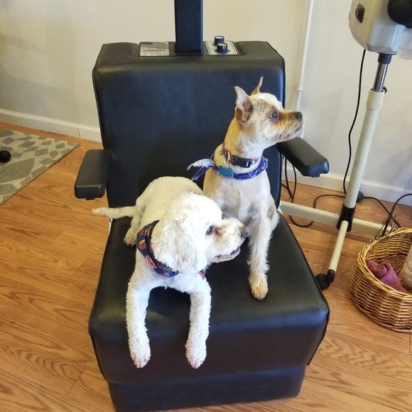 Meet your Posher, Elizabeth - Picture 2 of 6